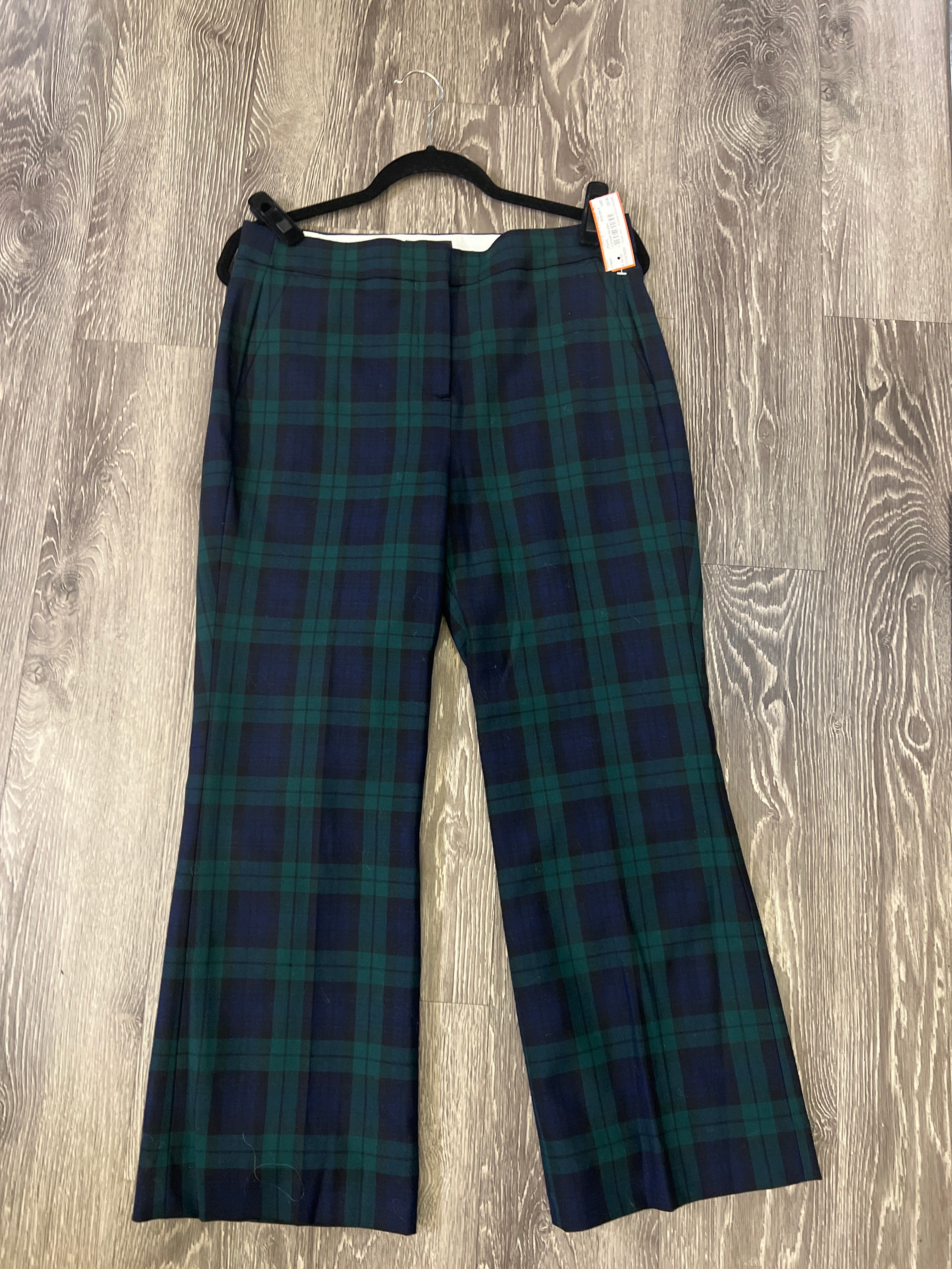 J Crew Hayden Pants (Size 8)