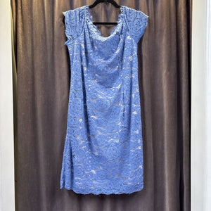 Adrianna Papell Lace Overlay DRESSES 14