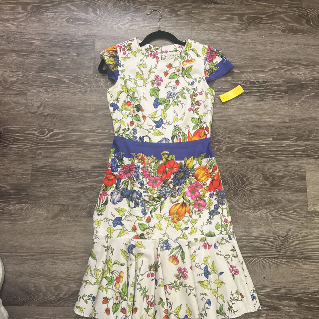 Milly Floral Flounce Bottom DRESSES S