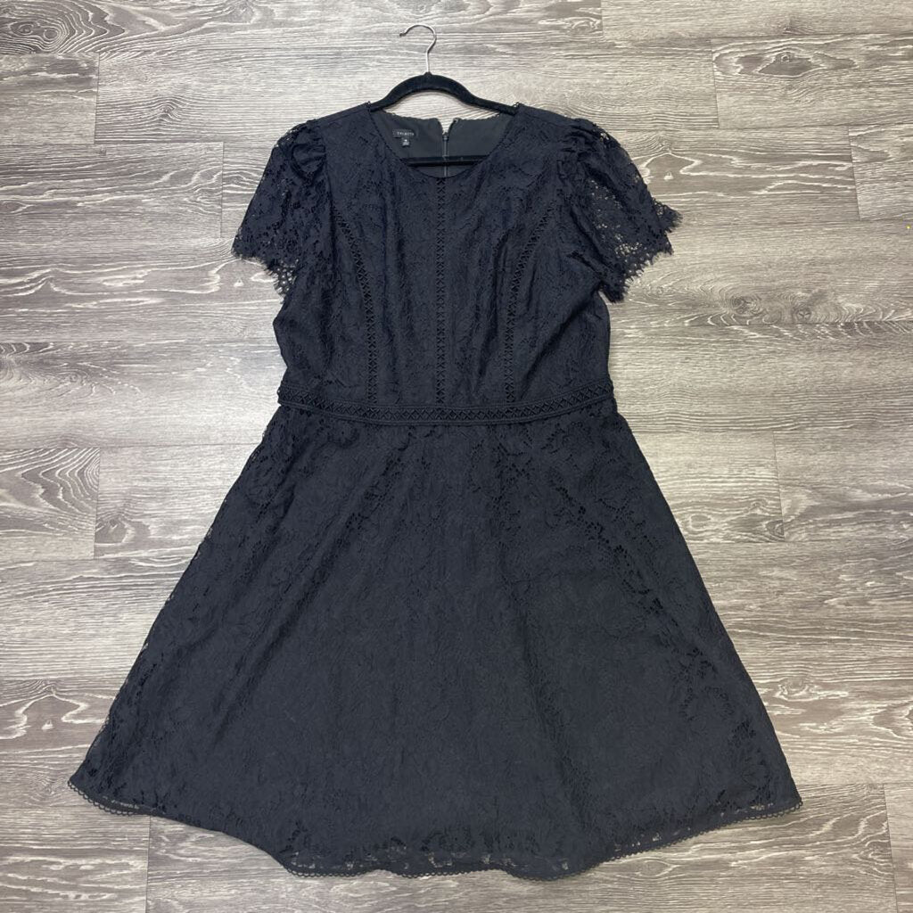 Talbots NWT Lace Overlay SS DRESSES 16