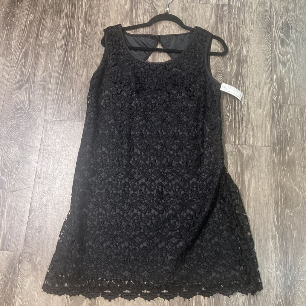 R&M Richards Lace Overlay DRESSES 14P