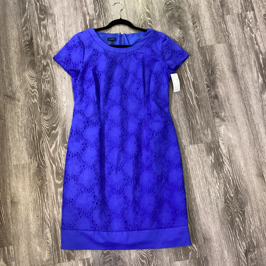 Talbots SS Eyelet DRESSES 12