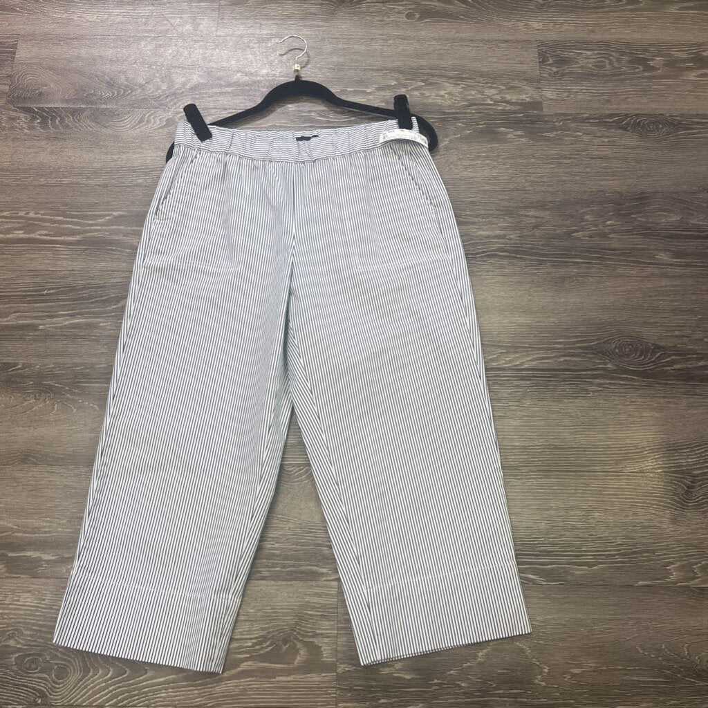Talbots NWT Wide Leg Striped PANTS Mp