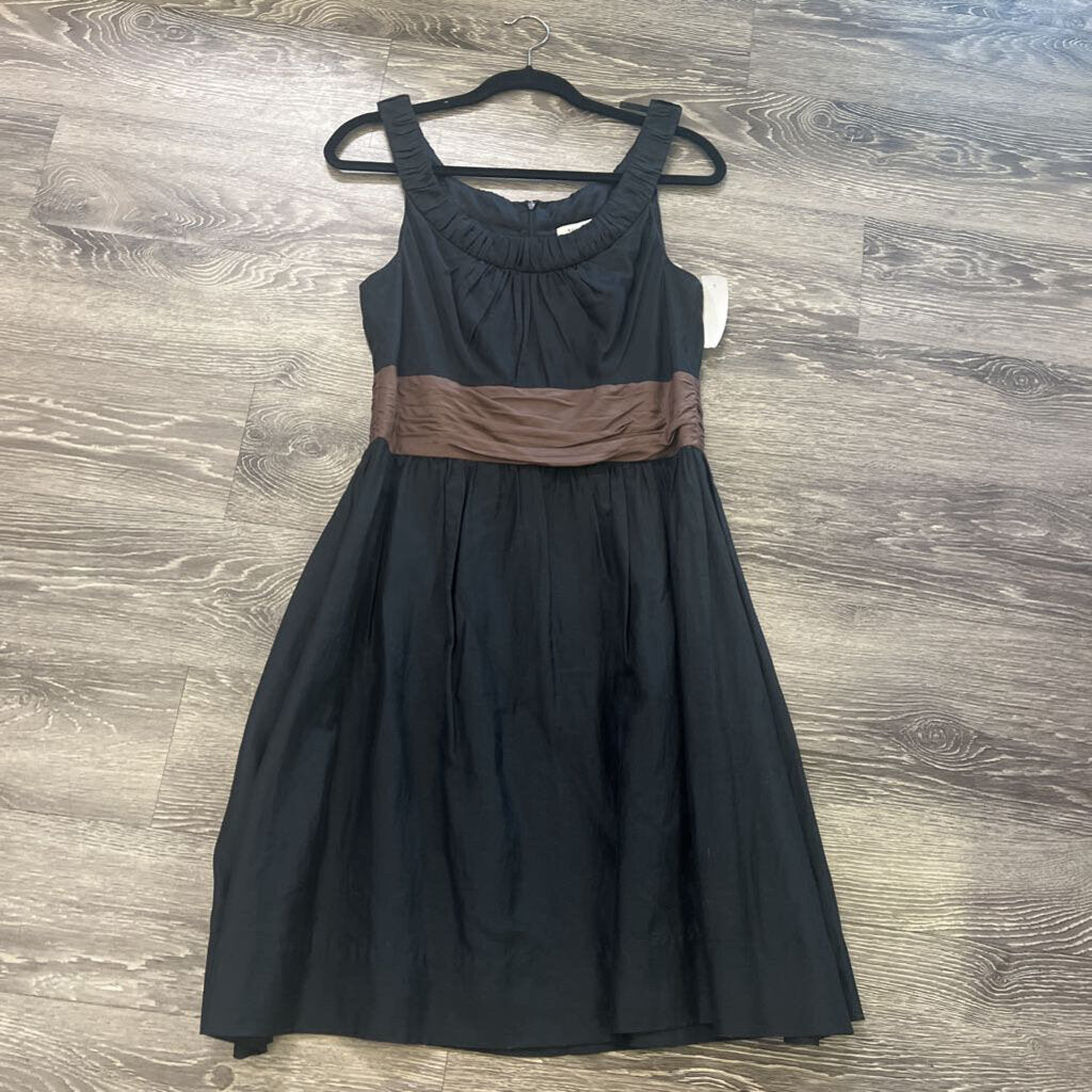 WHBM Brown Waist Accent DRESSES 8