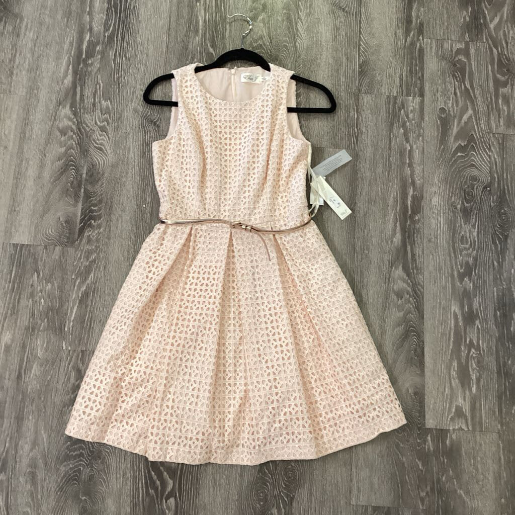 Eliza J NWT Textured Overlay Sleeveless w Belt DRESSES 6p