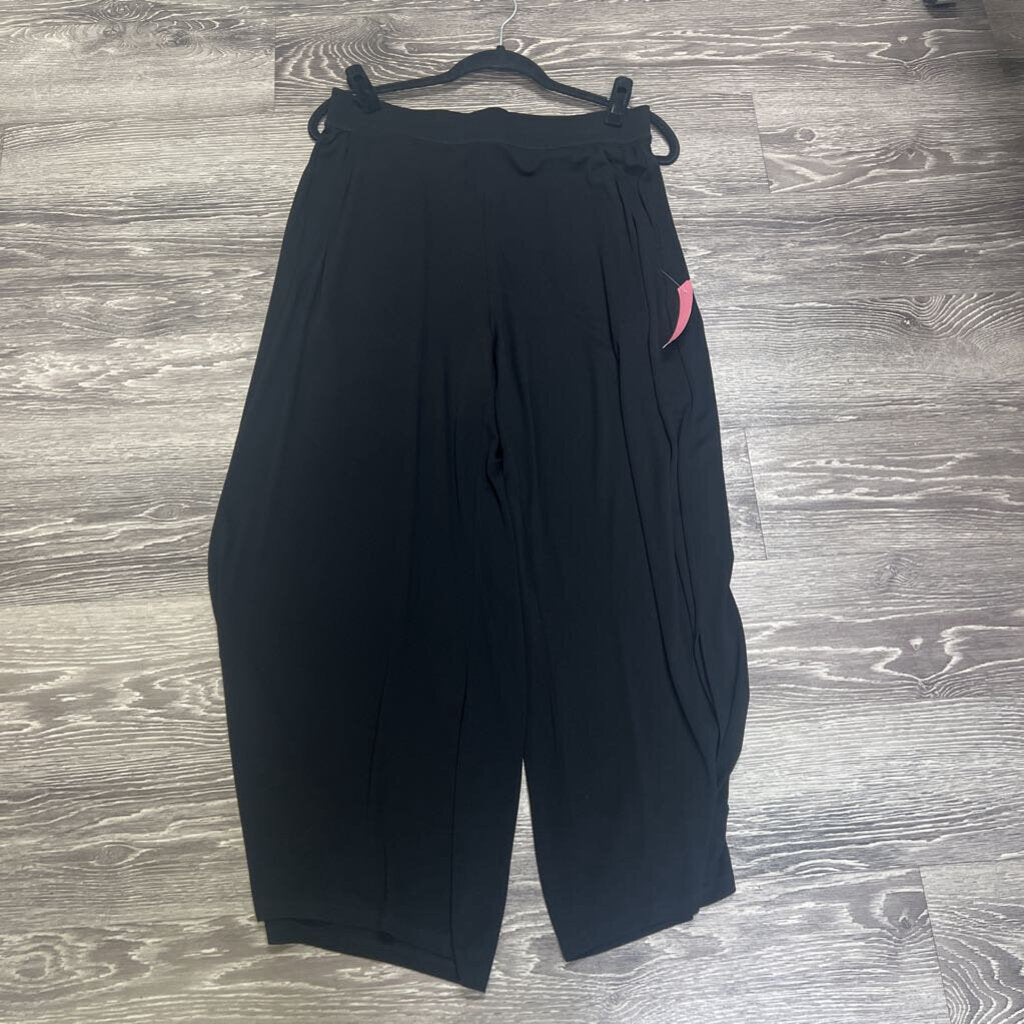 Eileen Fisher Silk Sheer PANTS M