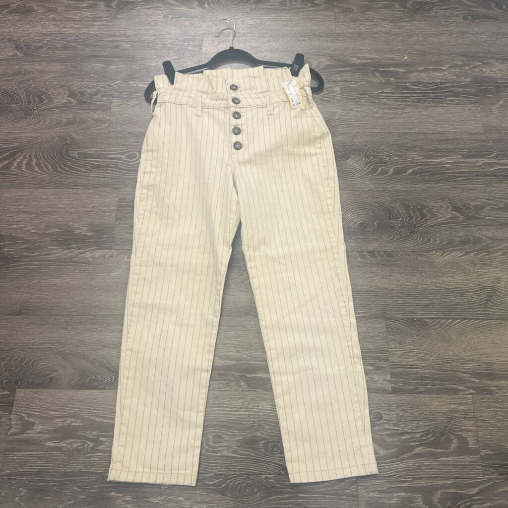 Free People Pinstripe Paper Bag PANTS 10