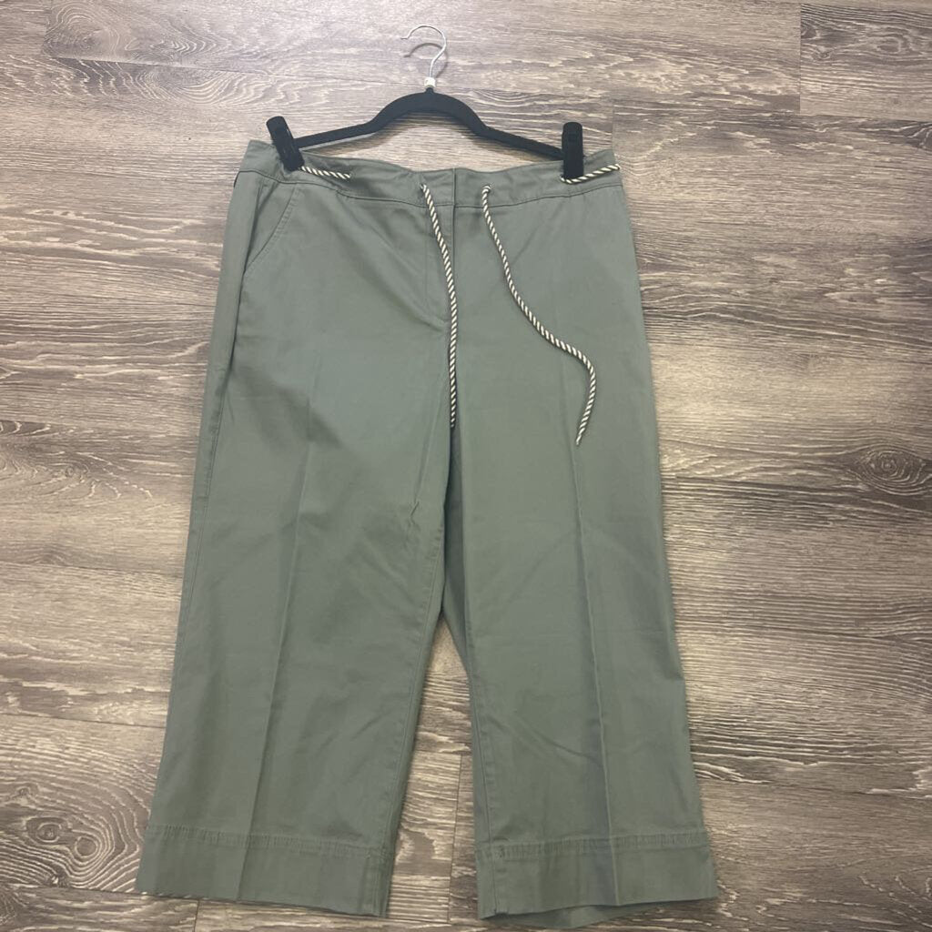 Talbots NWT Wide Leg Crop PANTS 12p