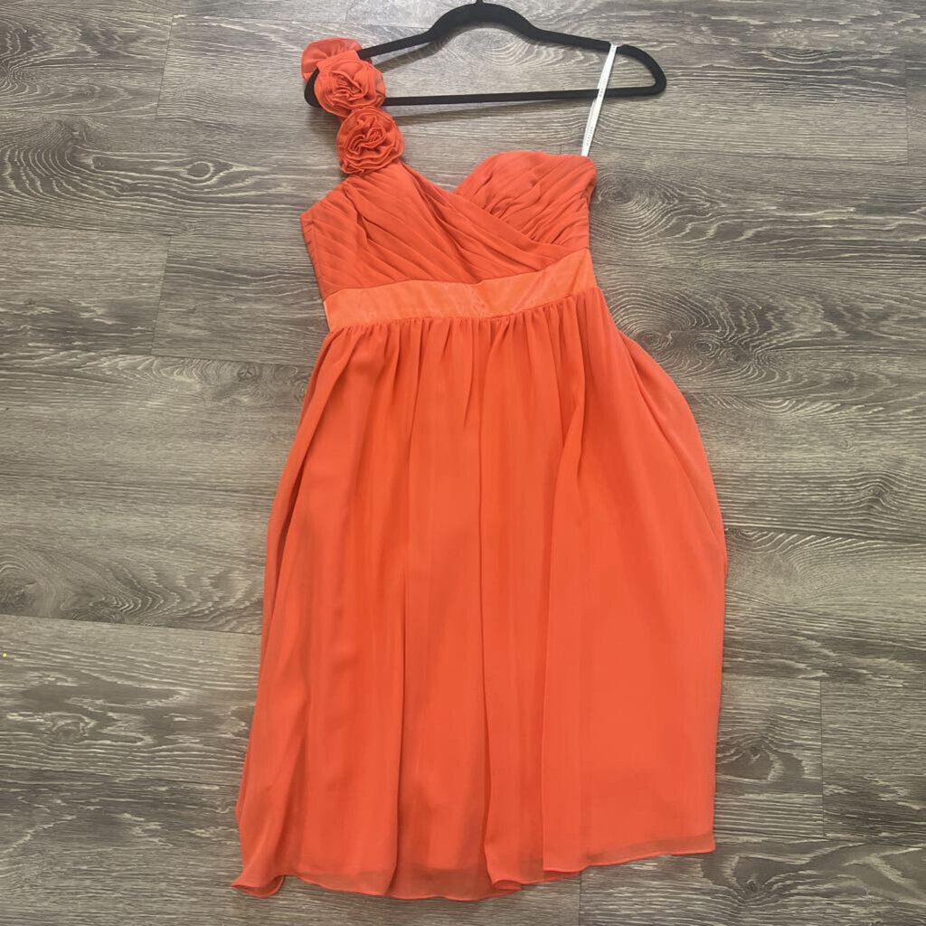 Barijay One Shldr Roses DRESSES 4