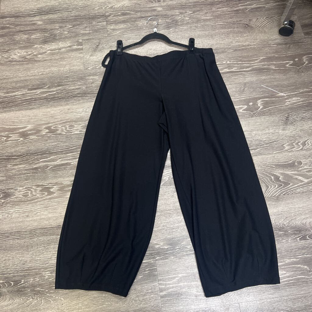 Eileen Fisher NWT Classic Slacks PANTS PL