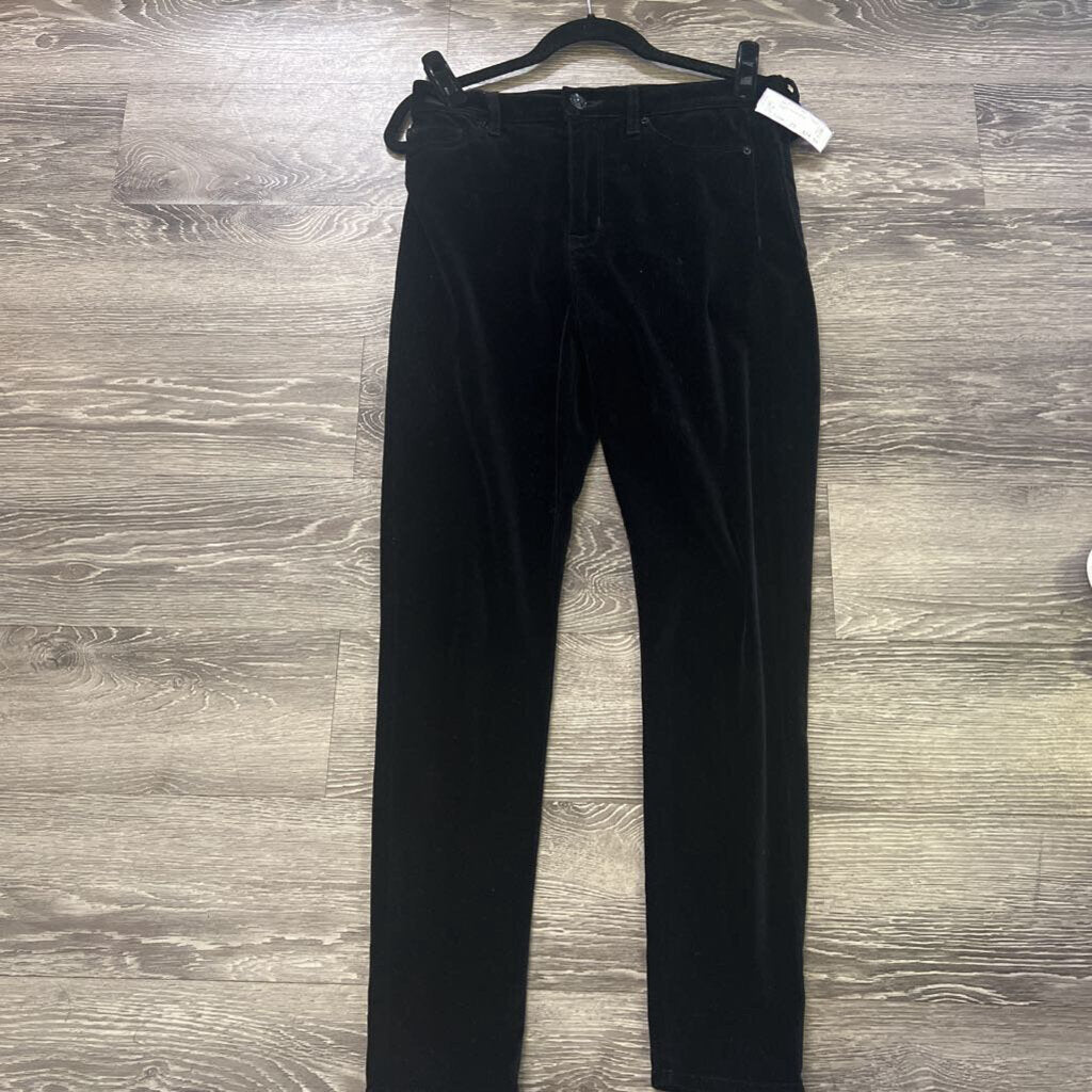 Hudson Velvet Skinny PANTS 29