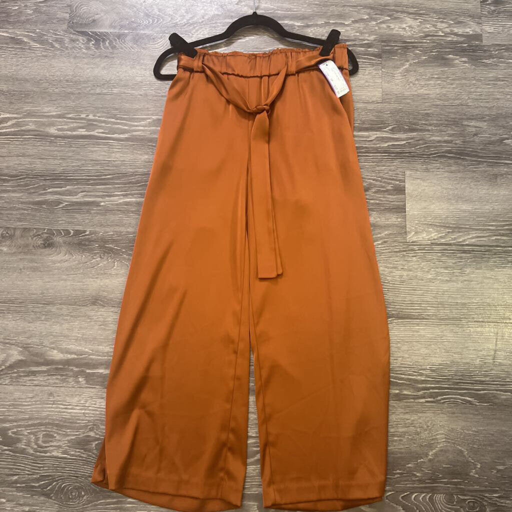 Joie Satin Wide Leg PANTS SP