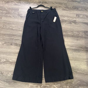 Pilcro Extra Wide Leg PANTS 32