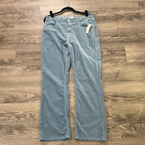 Pilcro Crushed Velvet PANTS 33