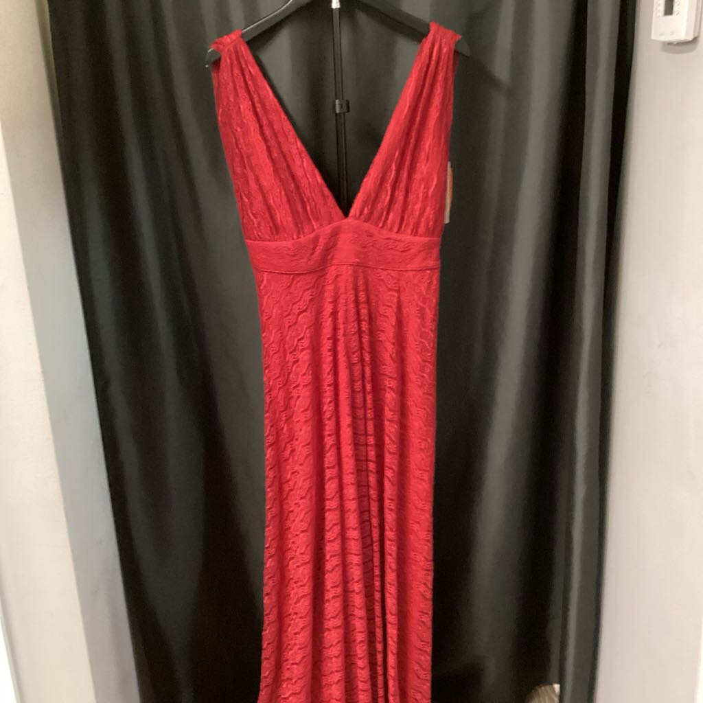 Minuet NWT Sleeveless Lace Overlay Maxi EVENING L