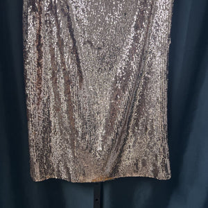 J Crew Full Sequin Pencil SKIRTS 10