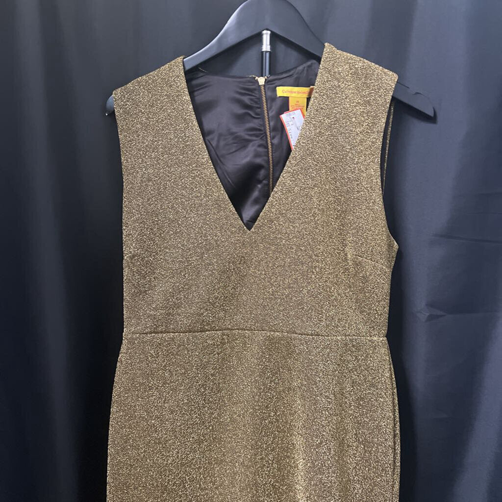 Catherine Malandrino Metallic Sparkle Sleeveless Sheath DRESSES 10