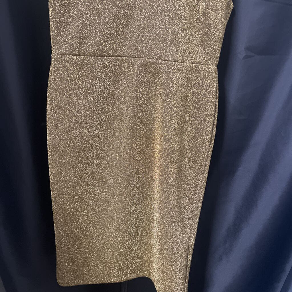 Catherine Malandrino Metallic Sparkle Sleeveless Sheath DRESSES 10