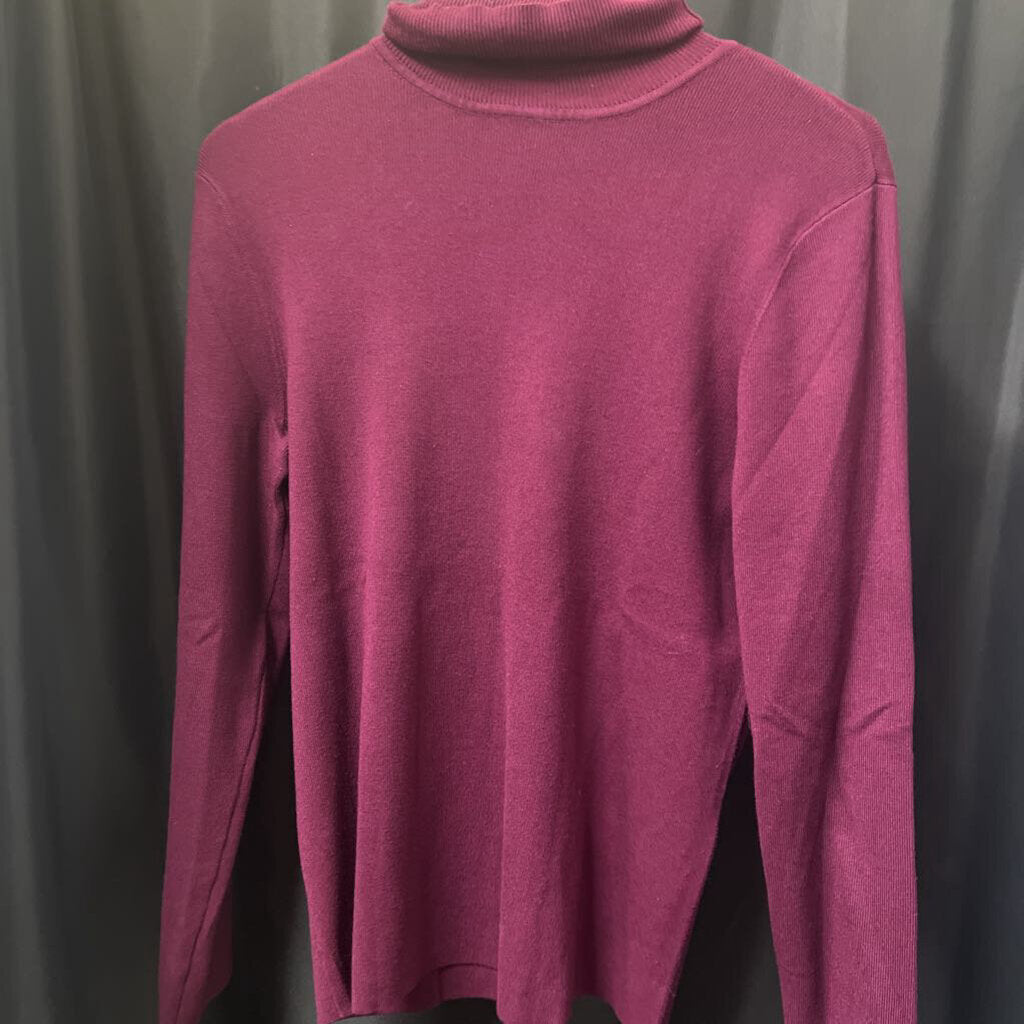 Chicos Classic Turtleneck SWEATERS 2