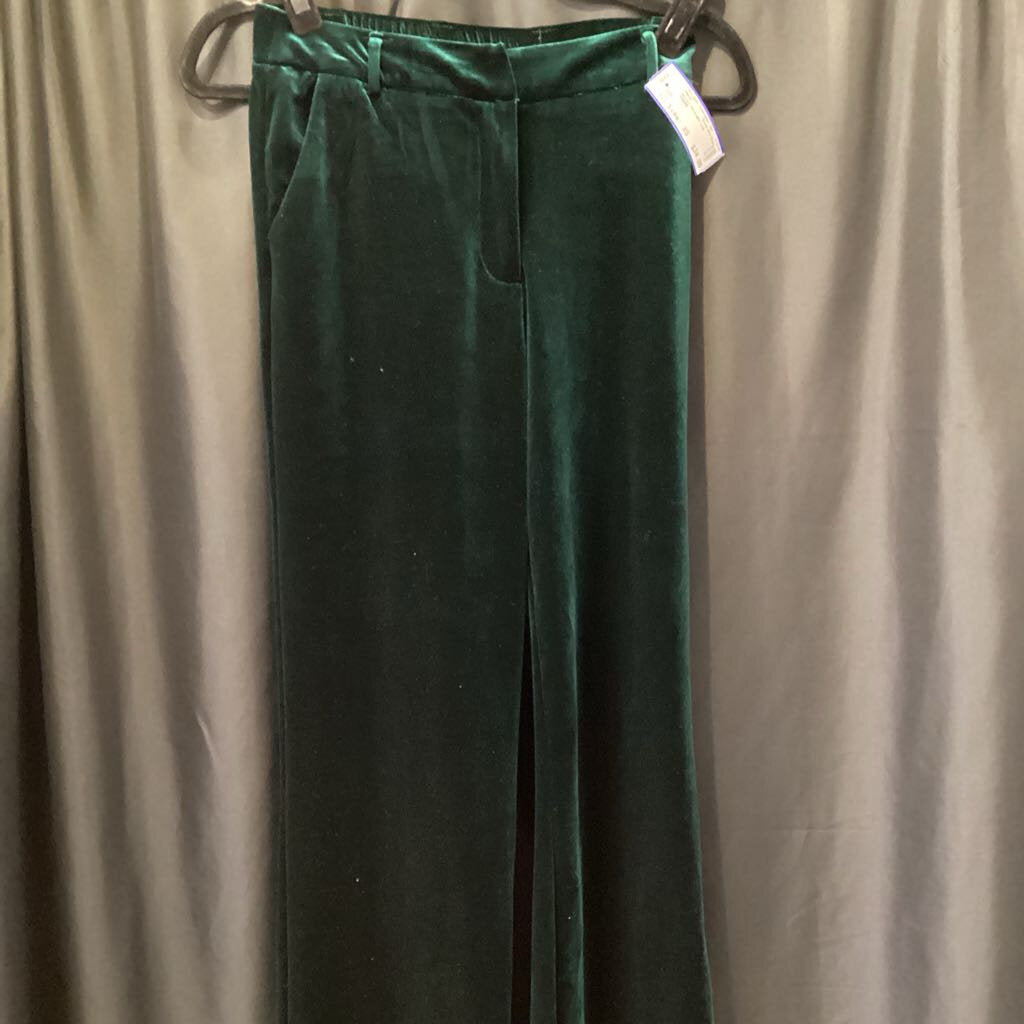 Skies Are Blue Velvet Straight Leg PANTS XS