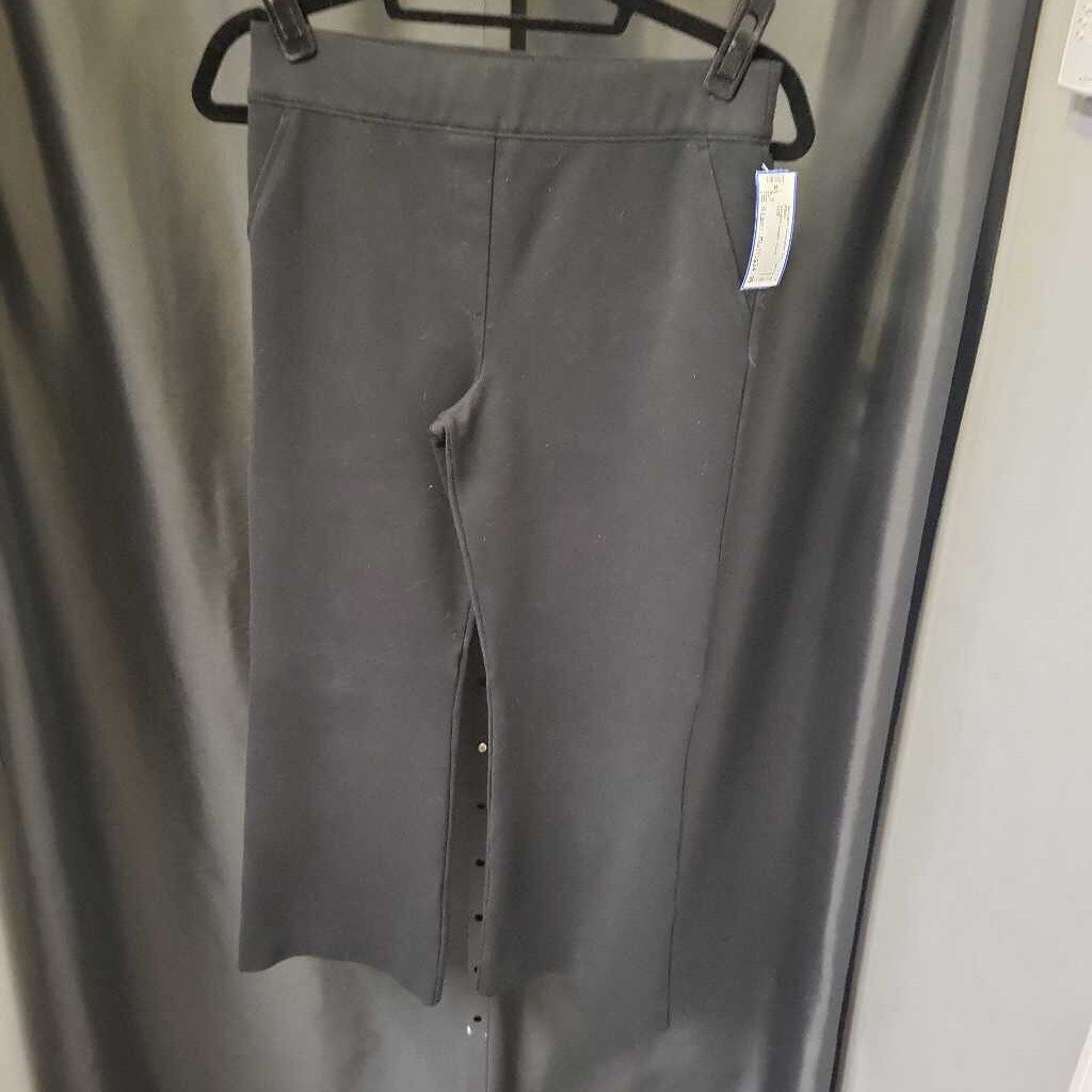 Spanx Stretch Leggin PANTS Medium