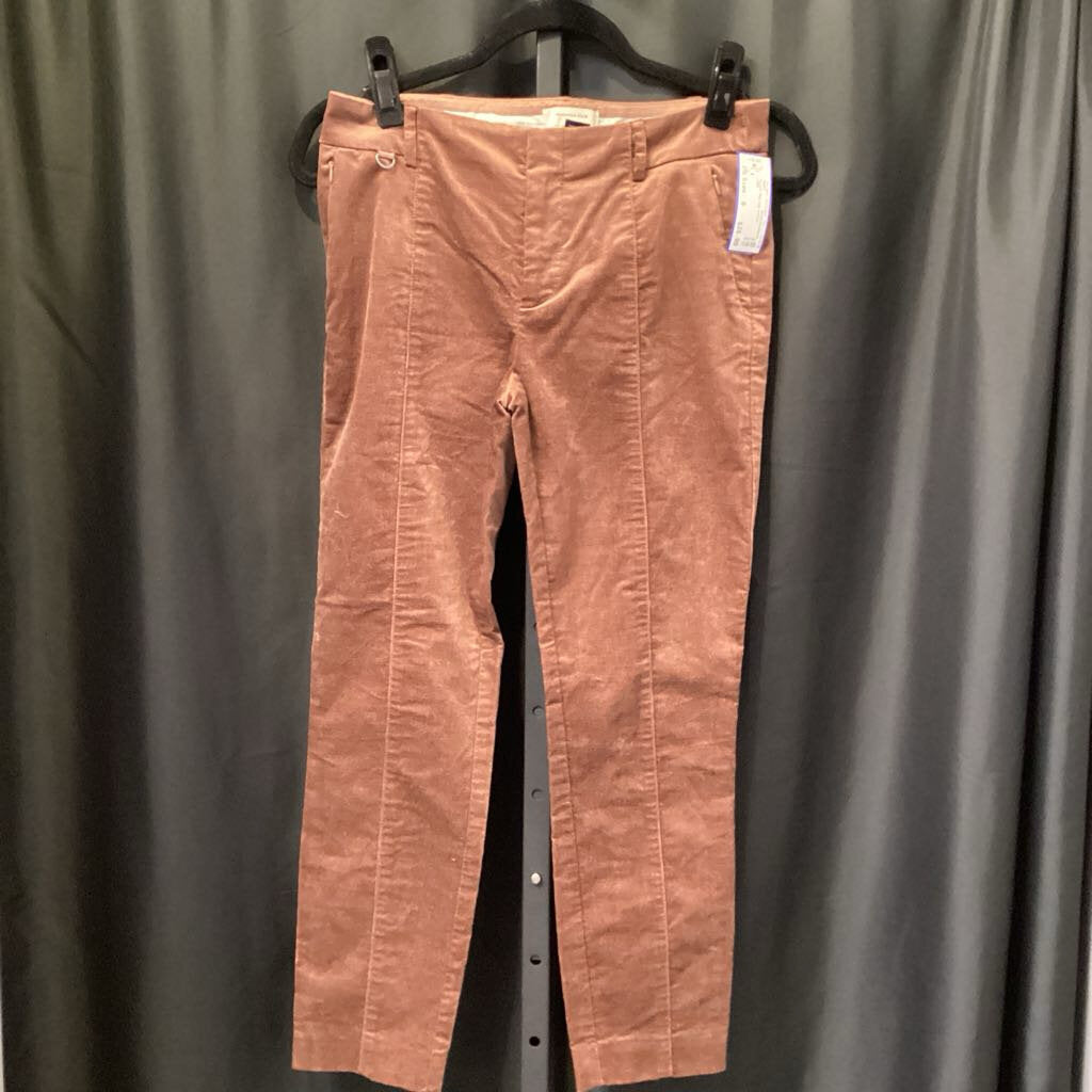 Anthropologie Velvet Peg Leg PANTS 0