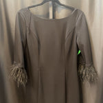 Load image into Gallery viewer, Adrianna Papell Feather Sleeve Sheath DRESSES 6
