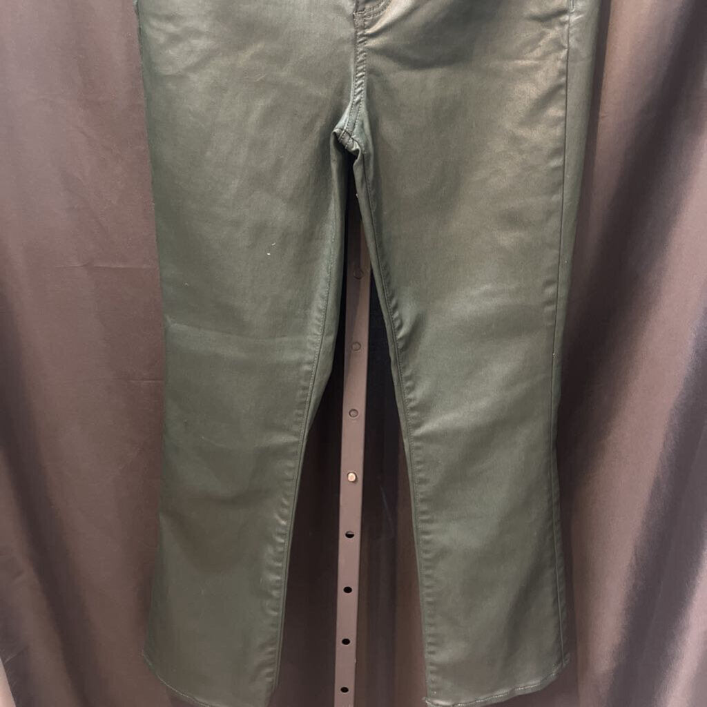 Ann Taylor Coated Canvas Jeans PANTS 6