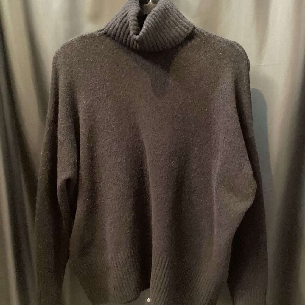 Paris Artilier Thick Turtleneck LS SWEATERS XS