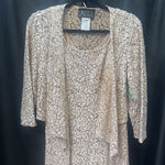Load image into Gallery viewer, Alex Evenings 2Pc Lace &amp; Sequins EVENING 10
