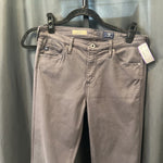 Load image into Gallery viewer, AG Mid Rise Cigarette PANTS 28

